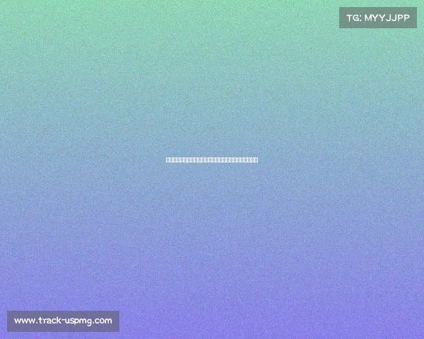 友好赛事合作携手共创体育盛事增进国际友谊促进社会和谐