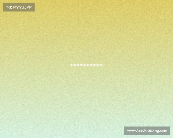 游泳比赛赛事分类方法及各类泳姿距离赛事分级详解