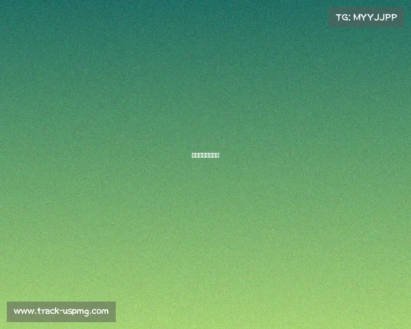 荷乙赛程比分结果