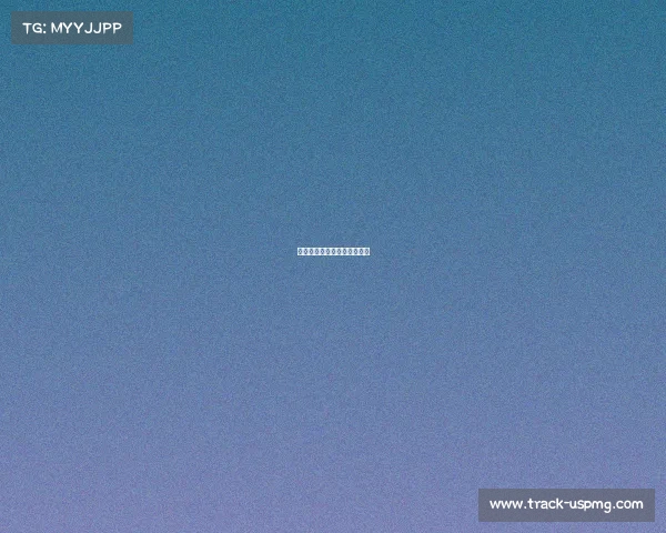 跑步比赛赛事—跑步体育赛事